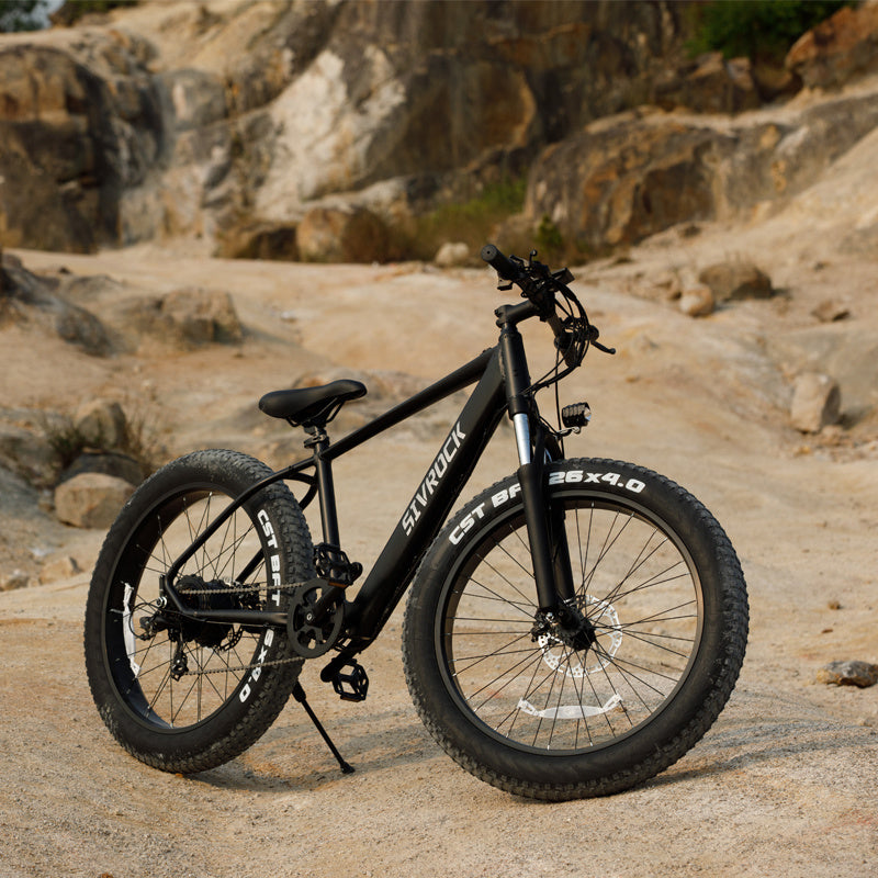 26" Fat Tire Electric Bike for Adults - 1000W Motor - Prime Season 